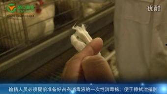 国产催情在线视频网站,隐私边界与伦理探讨