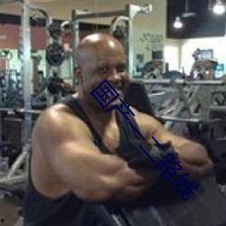 91POPNY国产打屁股在线,揭秘网络打屁股文化的魅力与争议