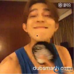 国产自拍视频在线视频,揭秘国内短视频平台的魅力与争议