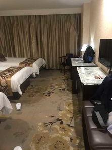 国产探花酒店在线观看,揭秘隐秘奢华的隐世之地