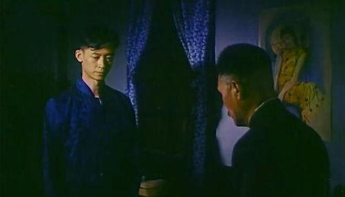 国产剧情片电影在线,情感交织，时代印记