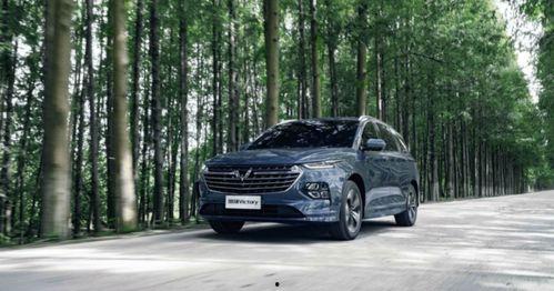 2020国产在线露脸